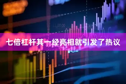 七倍杠杆其一经亮相就引发了热议
