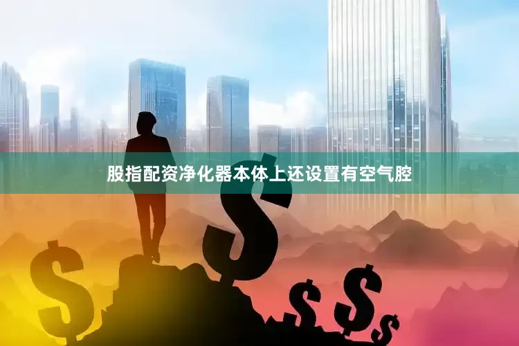 股指配资净化器本体上还设置有空气腔